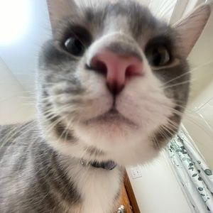 Meet your Posher, Myah